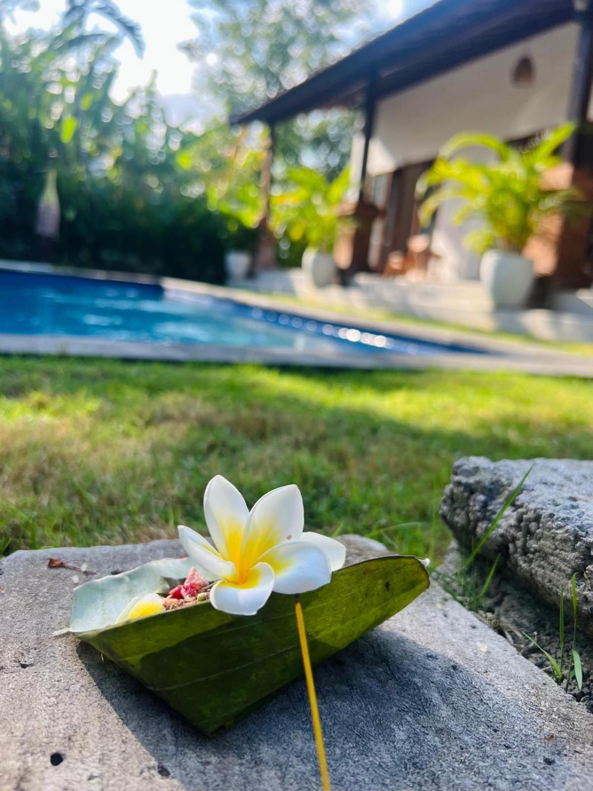 Wiryaroja Guest House Canggu Εξωτερικό φωτογραφία